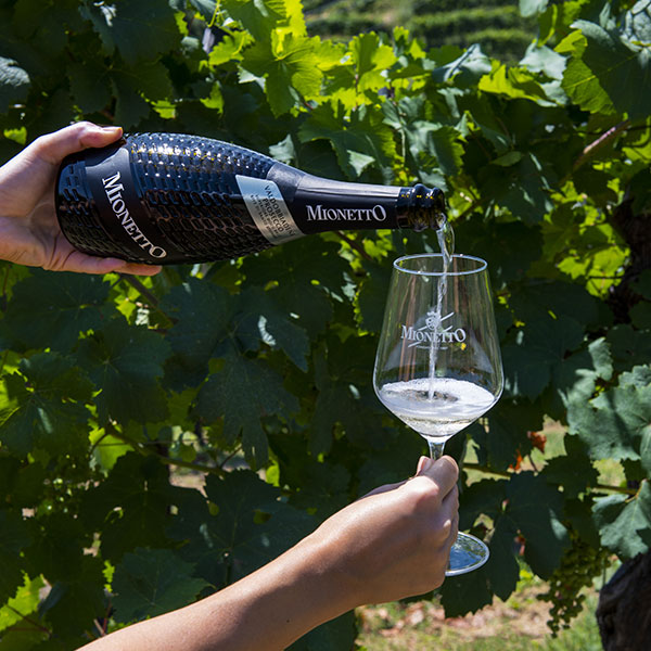 Book your tasting Book your tasting