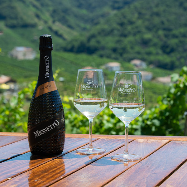 Book your tasting Book your tasting